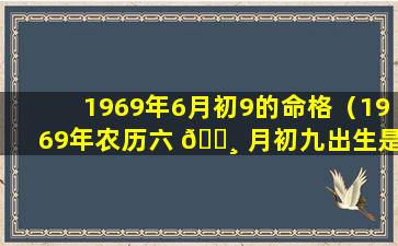 1969年6月初9的命格（1969年农历六 🌸 月初九出生是什么星座）